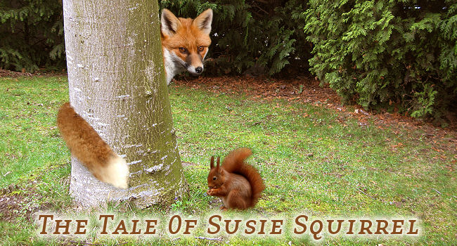 susie_squirrel_titel